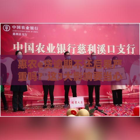 惠农e贷逾期不还后果严重吗？这3大影响要当心！