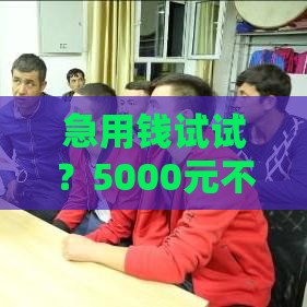 急用钱试试？5000元不看征信秒下款，7天还款真的靠谱吗