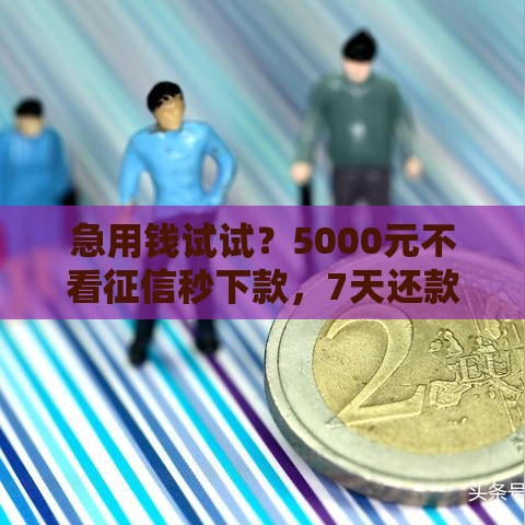 急用钱试试？5000元不看征信秒下款，7天还款真的靠谱吗