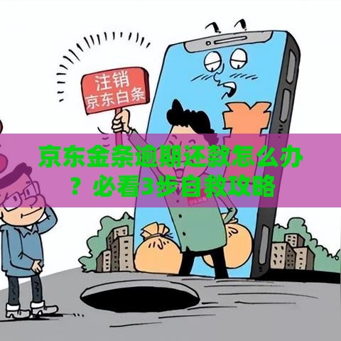 京东金条逾期还款怎么办？必看3步自救攻略