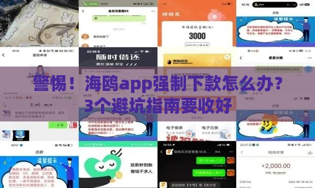 警惕！海鸥app强制下款怎么办？3个避坑指南要收好