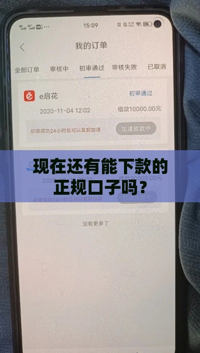 现在还有能下款的正规口子吗？