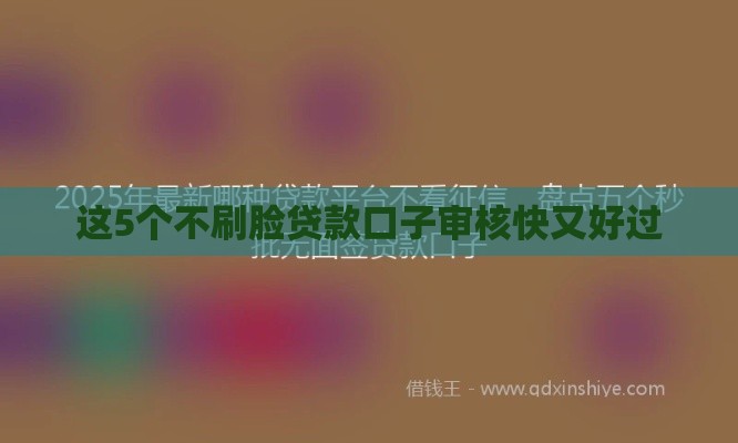 这5个不刷脸贷款口子审核快又好过