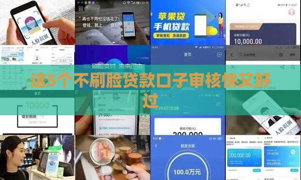 这5个不刷脸贷款口子审核快又好过