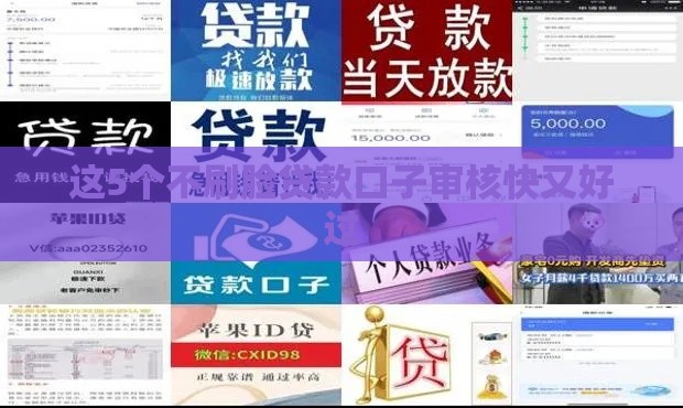 这5个不刷脸贷款口子审核快又好过