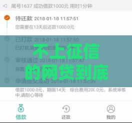 不上征信的网贷到底怎么审核？这些秘密你得知道