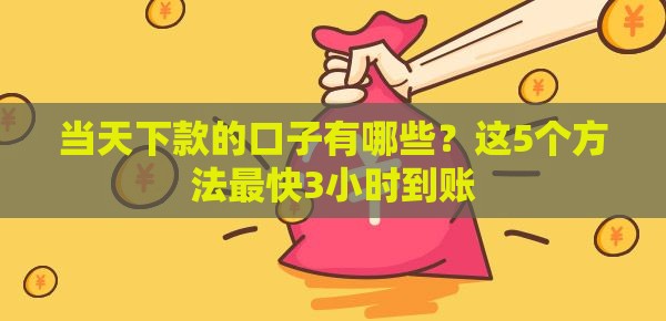 当天下款的口子有哪些？这5个方法最快3小时到账