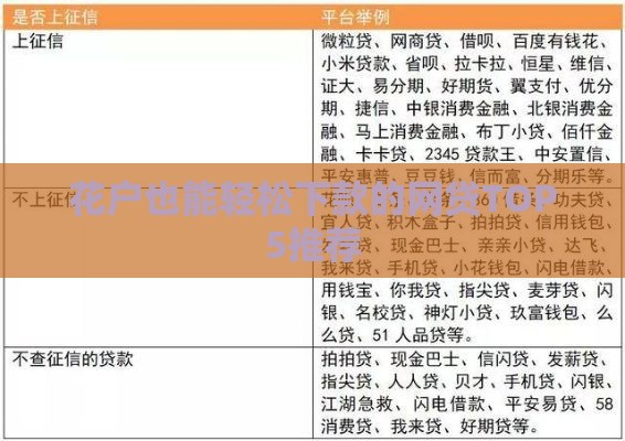 花户也能轻松下款的网贷TOP5推荐