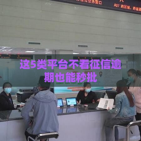 这5类平台不看征信逾期也能秒批