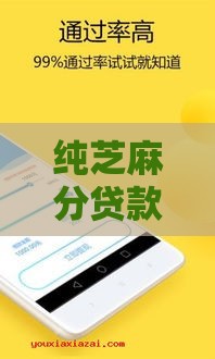 纯芝麻分贷款口子大全：实测10个低门槛靠谱平台