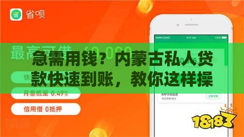 急需用钱？内蒙古私人贷款快速到账，教你这样操作！