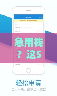 急用钱？这5家平台可分36期慢慢还！