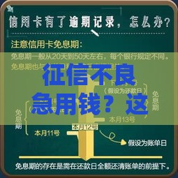 征信不良急用钱？这些贷款渠道或许能解燃眉之急
