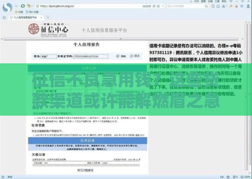 征信不良急用钱？这些贷款渠道或许能解燃眉之急