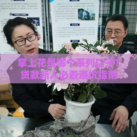 掌上花是哪个系列口子？贷款新人必看避坑指南
