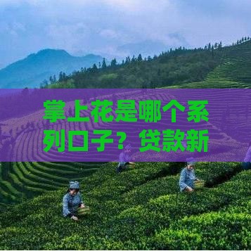 掌上花是哪个系列口子？贷款新人必看避坑指南