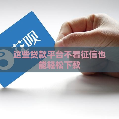 这些贷款平台不看征信也能轻松下款