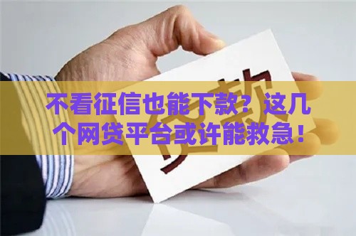 不看征信也能下款？这几个网贷平台或许能救急！