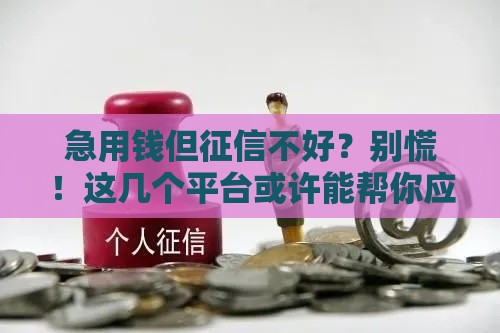 急用钱但征信不好？别慌！这几个平台或许能帮你应急！