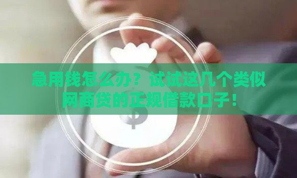 急用钱怎么办？试试这几个类似网商贷的正规借款口子！