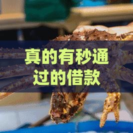 真的有秒通过的借款口子吗？这3招教你快速到账