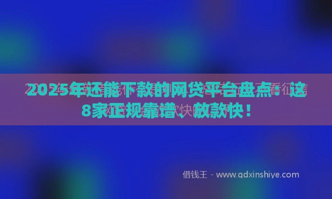 2025年还能下款的网贷平台盘点：这8家正规靠谱、放款快！