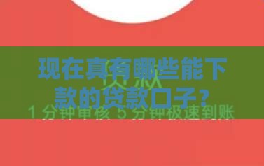 现在真有哪些能下款的贷款口子？