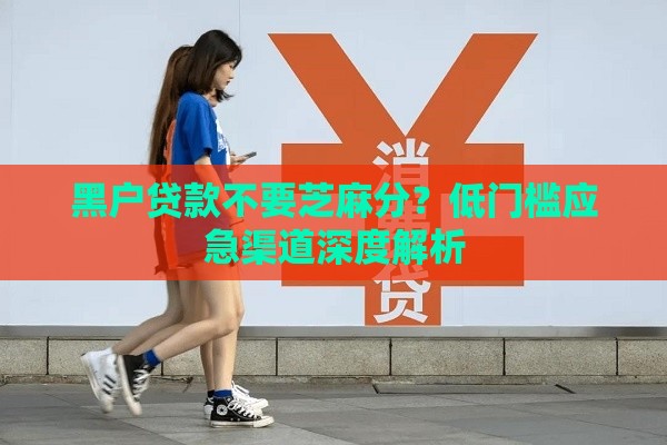 黑户贷款不要芝麻分？低门槛应急渠道深度解析