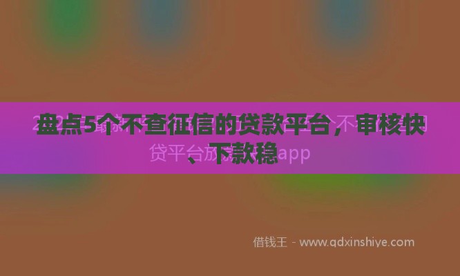 盘点5个不查征信的贷款平台，审核快、下款稳