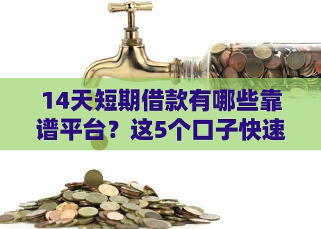 14天短期借款有哪些靠谱平台？这5个口子快速到账不踩雷！