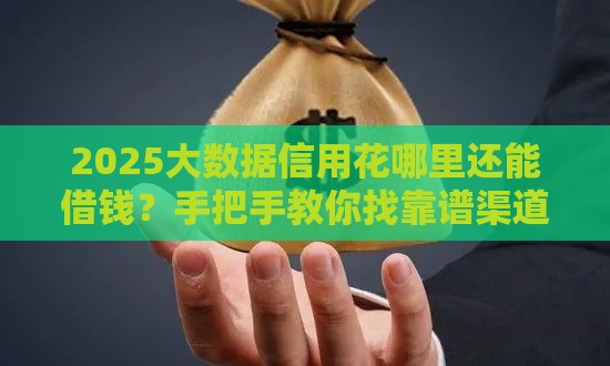 2025大数据信用花哪里还能借钱？手把手教你找靠谱渠道