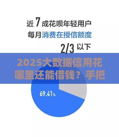 2025大数据信用花哪里还能借钱？手把手教你找靠谱渠道
