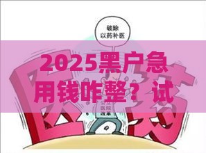 2025黑户急用钱咋整？试试这几个靠谱办法！