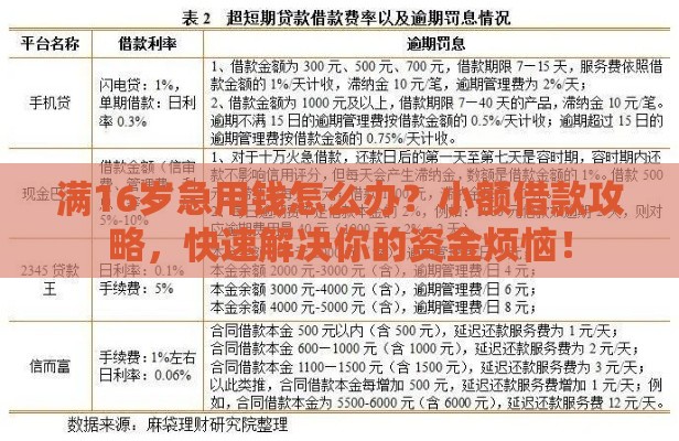 满16岁急用钱怎么办？小额借款攻略，快速解决你的资金烦恼！