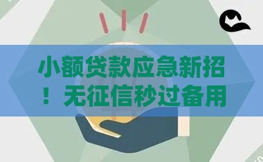 小额贷款应急新招！无征信秒过备用金怎么申请？