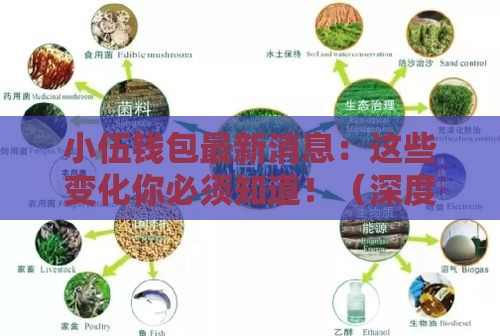 小伍钱包最新消息：这些变化你必须知道！（深度解析）