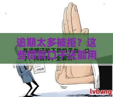 逾期太多被拒？这些借款口子还能用！避坑指南速看