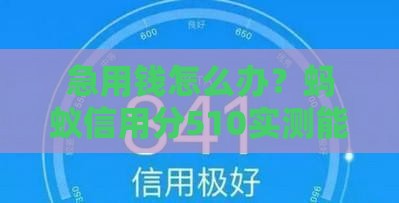 急用钱怎么办？蚂蚁信用分510实测能下款的低门槛平台