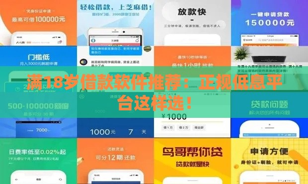 满18岁借款软件推荐：正规低息平台这样选！