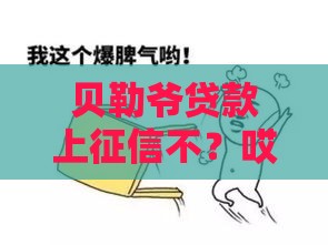 贝勒爷贷款上征信不？哎，这事儿得从头说！