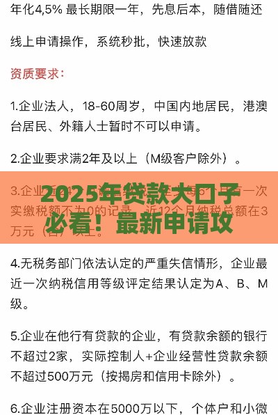 2025年贷款大口子必看！最新申请攻略全解析