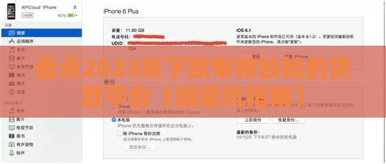 盘点2023年下款审核较松的贷款平台（附避坑指南）