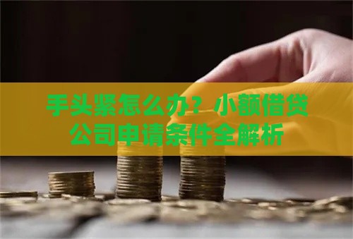 手头紧怎么办？小额借贷公司申请条件全解析