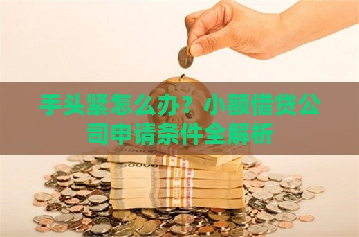 手头紧怎么办？小额借贷公司申请条件全解析