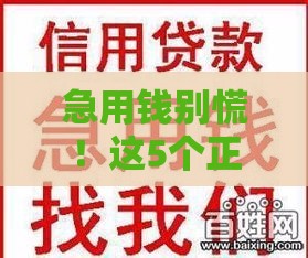 急用钱别慌！这5个正规借钱口子靠谱不踩坑