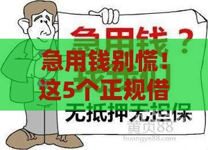 急用钱别慌！这5个正规借钱口子靠谱不踩坑