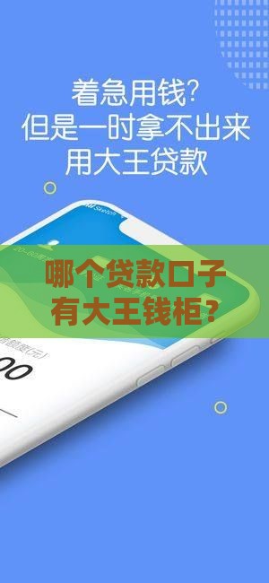 哪个贷款口子有大王钱柜？手把手教你正规平台怎么选