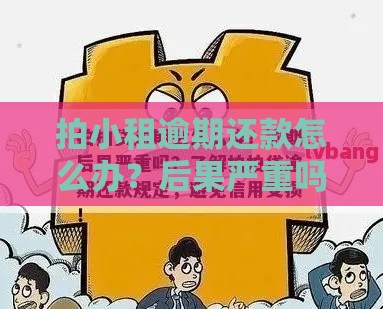 拍小租逾期还款怎么办？后果严重吗？手把手教你补救