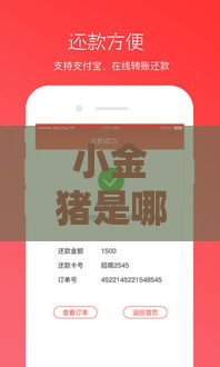 小金猪是哪个系列口子？揭秘贷款产品的隐藏套路！