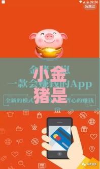 小金猪是哪个系列口子？揭秘贷款产品的隐藏套路！